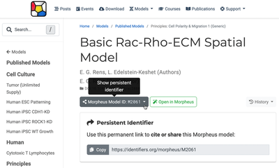 Screenshot showing the expandable citable identifier link for a model