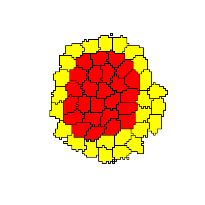 Yellow cells engulf the red cells as a result of differential adhesion.