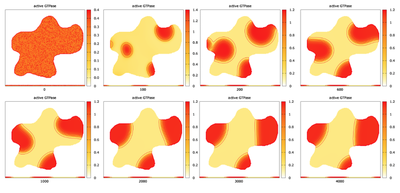 A simulation of the wave-pinning GTPase model in an irregular domain with no-flux `BoundaryConditions` starting with random intial conditions. Shown is the level of active form and the level curves for GTPase for times $t = 0, 100, 200, 600$ (top row) and $t = 1000, 2000, 3000, 4000$ (bottom row) with `isolines` (red) enabled. Produced with the Morpheus file [`Wavepinningin2DIregDomain.xml`](#downloads).