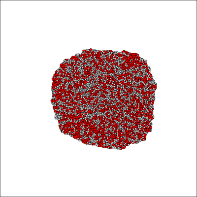 Model results reproduced with this Morpheus model.