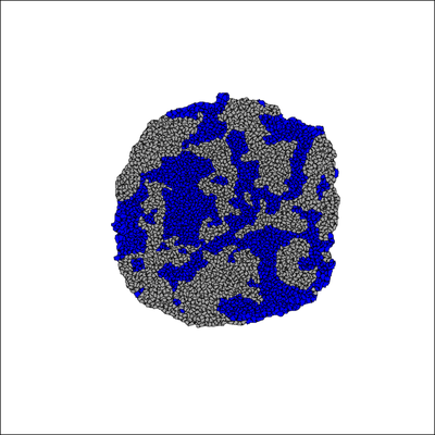 Model results reproduced with this Morpheus model.